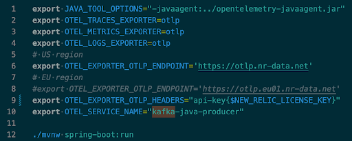 run script Java tool options