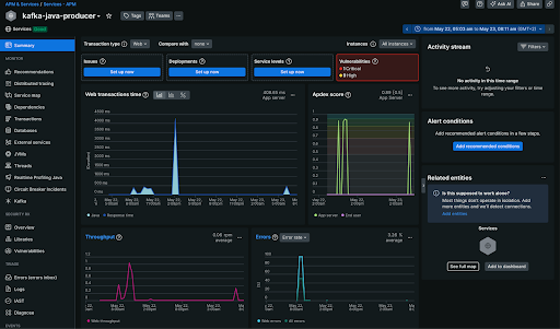New Relic APM summary UI