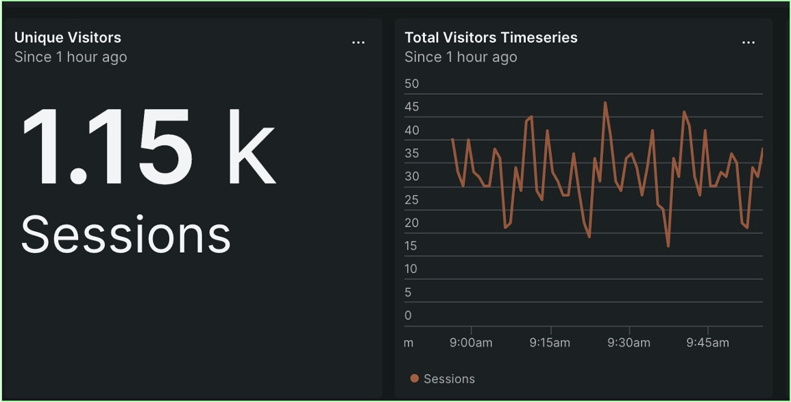 Website visitor analytics within the New Relic UI