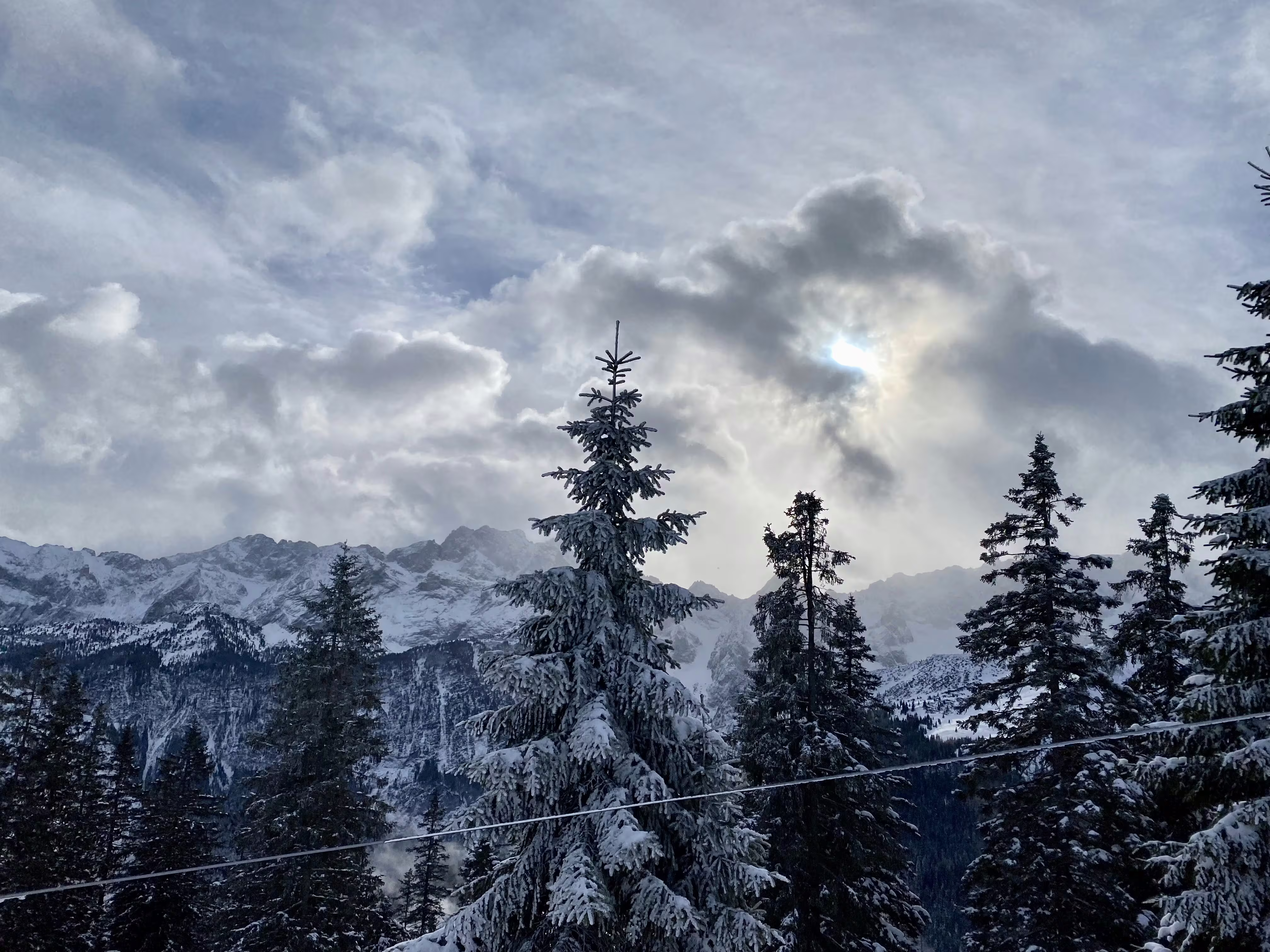 Year 2021 Reflection - What's next in 2022?